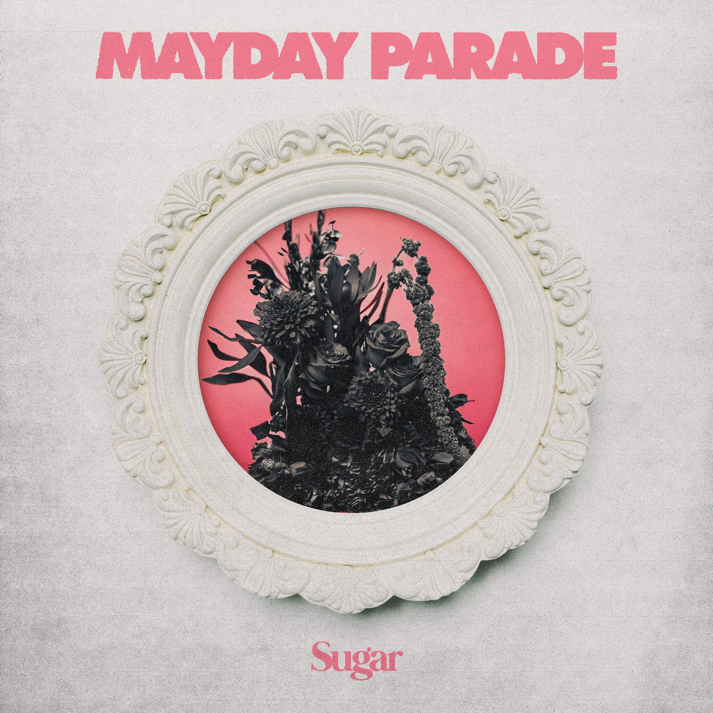 Mayday Parade Share New Single + Announce 'Sugar' out 7/24  ﻿﻿ 
