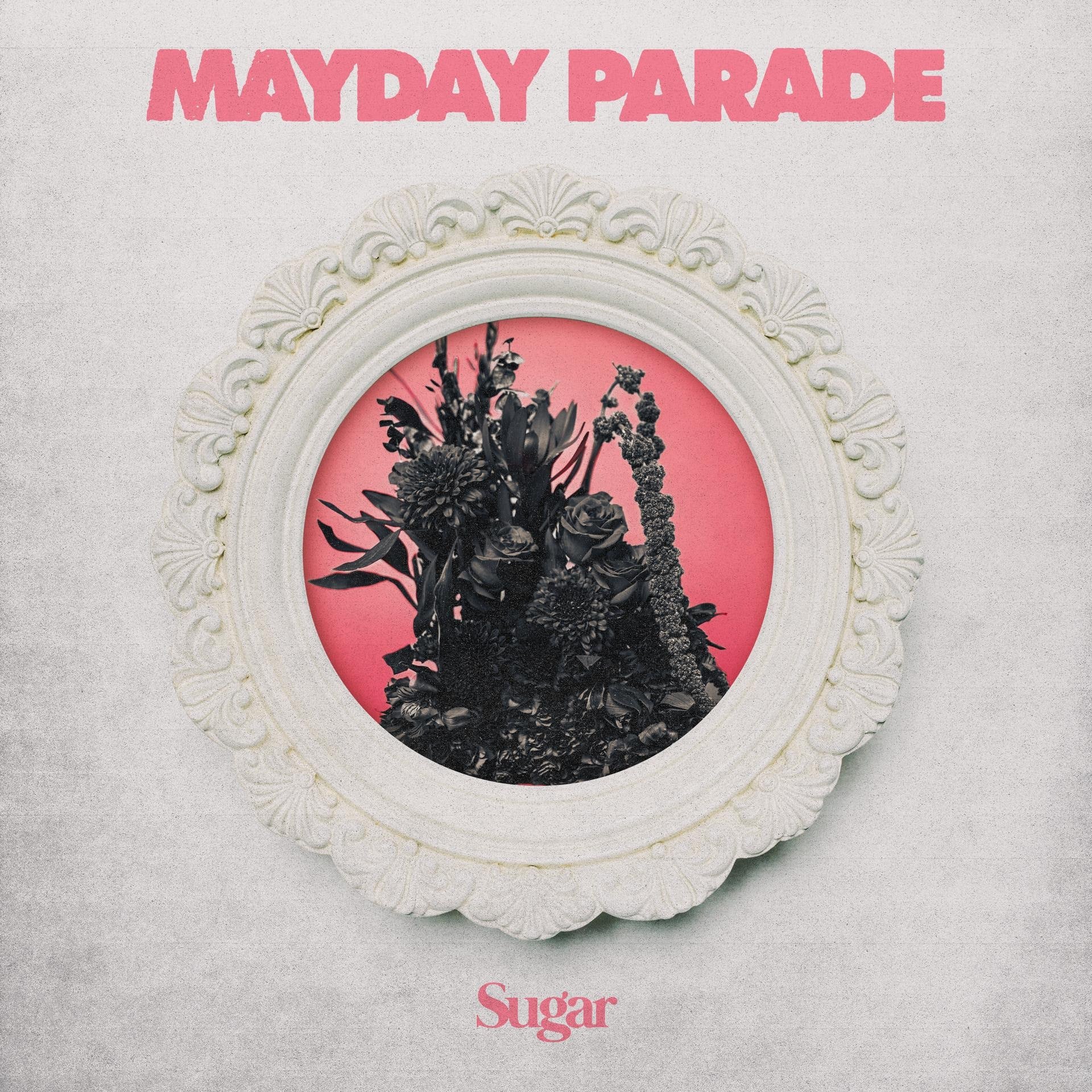 Mayday Parade Share New Single + Announce 'Sugar' out 7/24  ﻿﻿ 