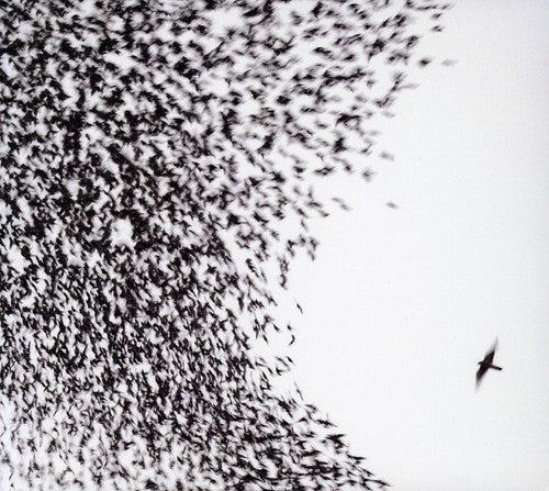 the album cover for Wilco - Sky Blue Sky
