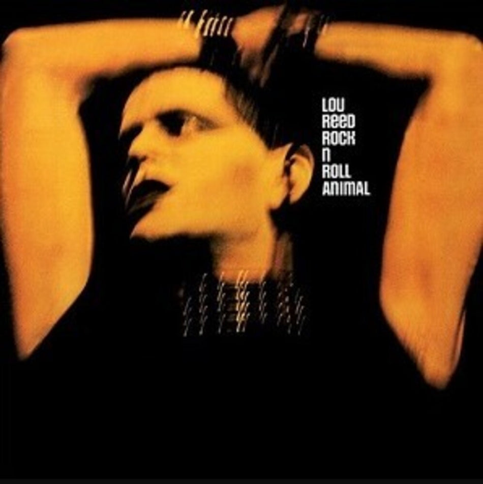 the album cover for Lou Reed - Rock N' Roll Animal