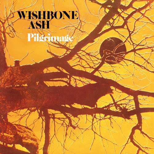the album cover for Wishbone Ash - Pilgrimage