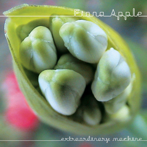 FIONA APPLE - EXTRAORDINARY MACHINE (CD)
