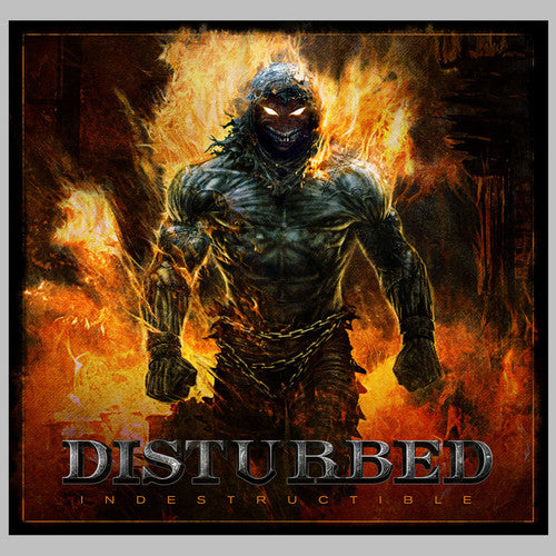 DISTURBED - INDESTRUCTIBLE (LP)