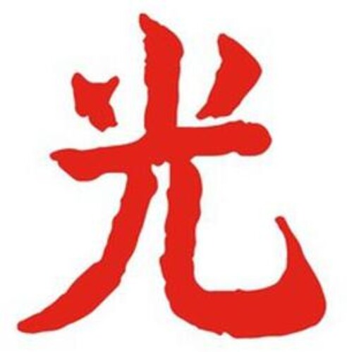 Lupe Fiasco - Drogas Light (CD)
