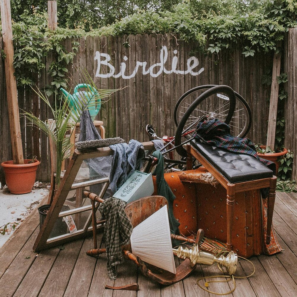 the album cover for Slaughter Beach, Dog - Birdie