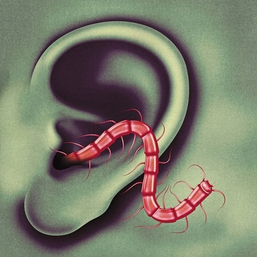 the album cover for Thee Oh Sees - An Odd Entrances