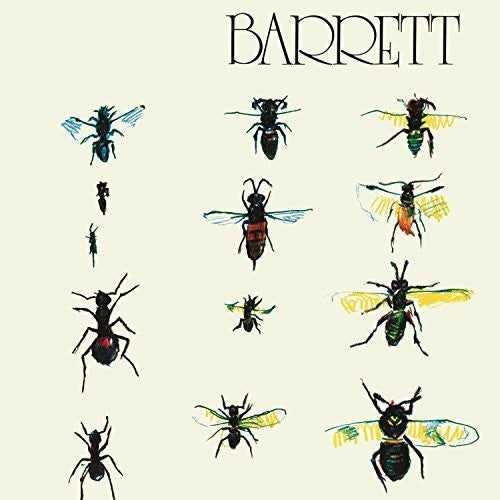 the album cover for Syd Barrett - Barrett