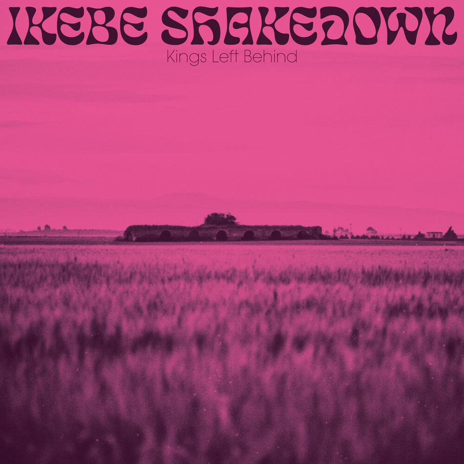 the album cover for Ikebe Shakedown - Kings Left Behind