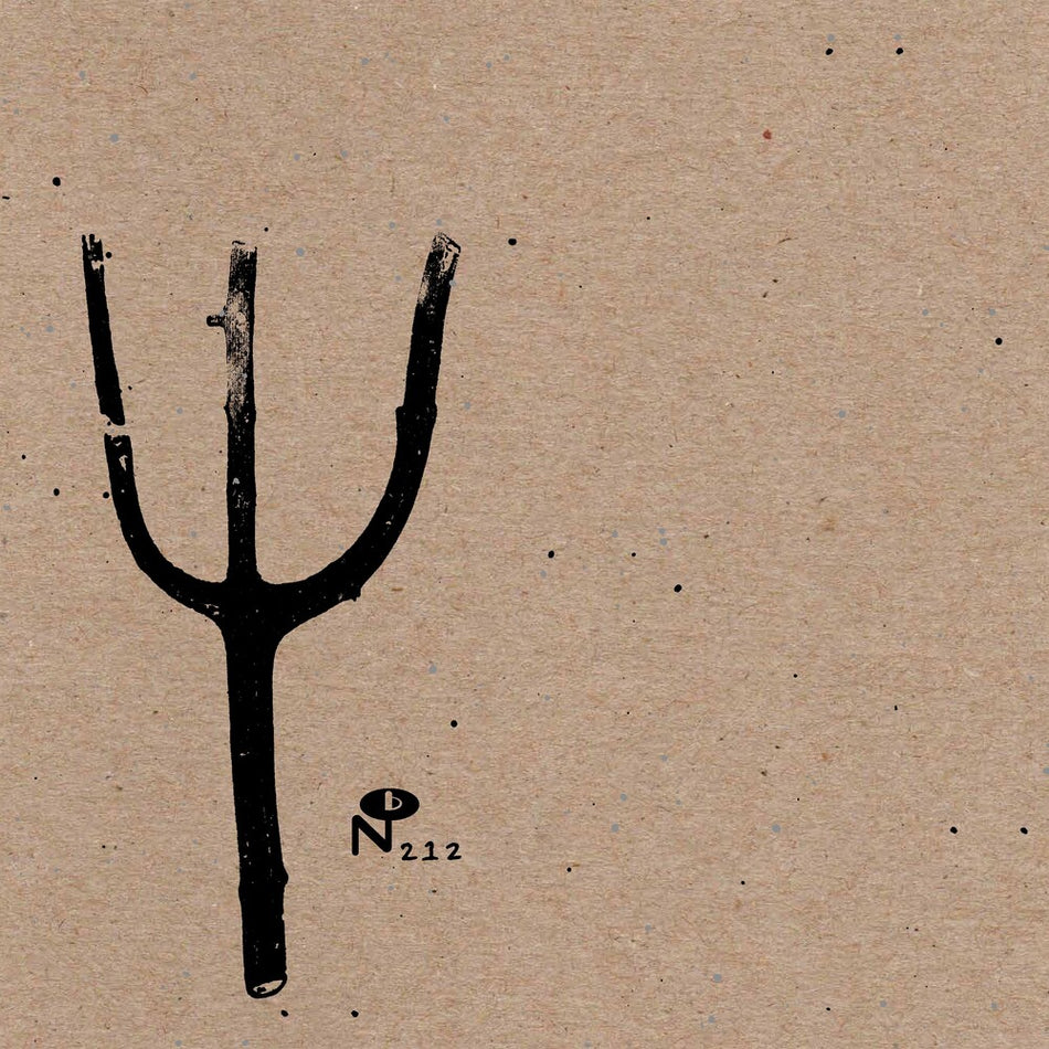the album cover for Indian Summer - Giving Birth to Thunder