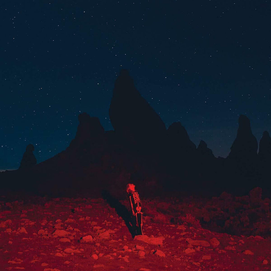 the album cover for Phoebe Bridgers - Punisher [LP]