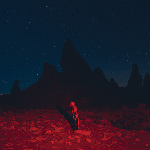PHOEBE BRIDGERS - PUNISHER (CD)
