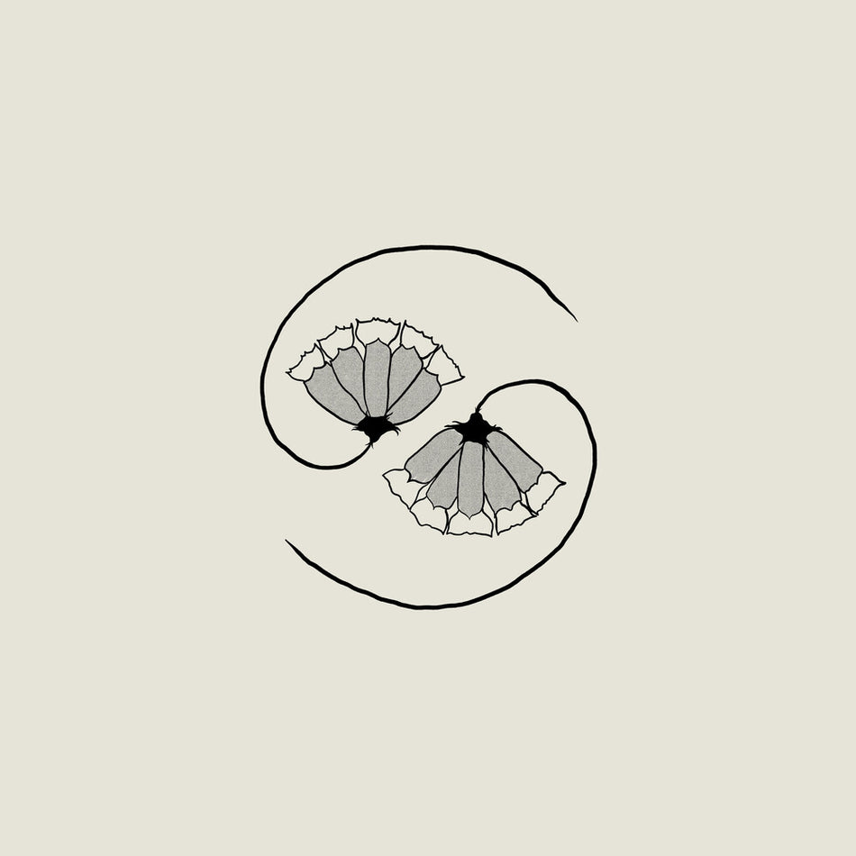 the album cover for Godspeed You! Black Emperor - G_D's Pee At State's End! [180 gram LP + 10in]