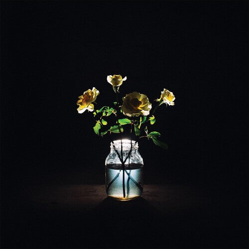 BILLY STRINGS - RENEWAL (LP)