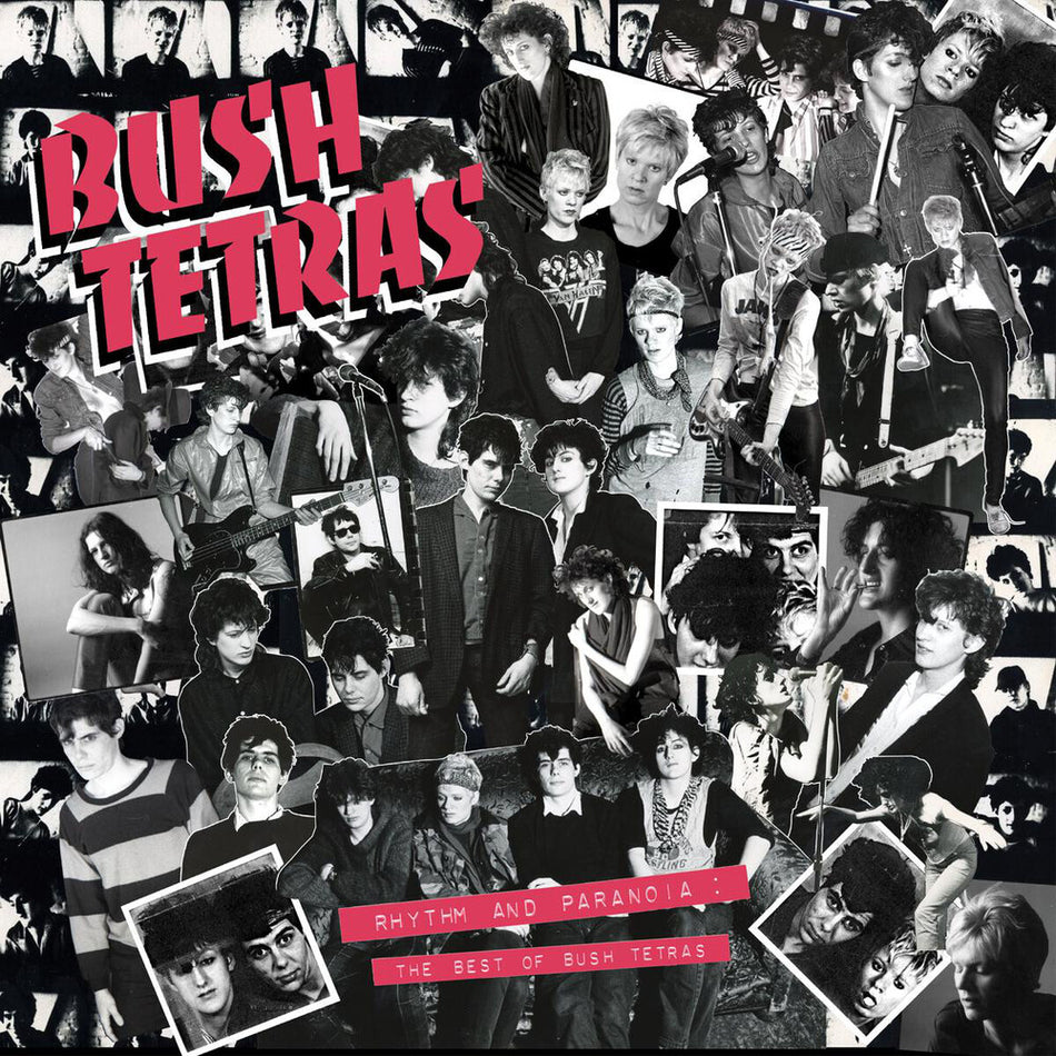 the album cover for Bush Tetras - Rhythm & Paranoia: The Best Of Bush Tetras