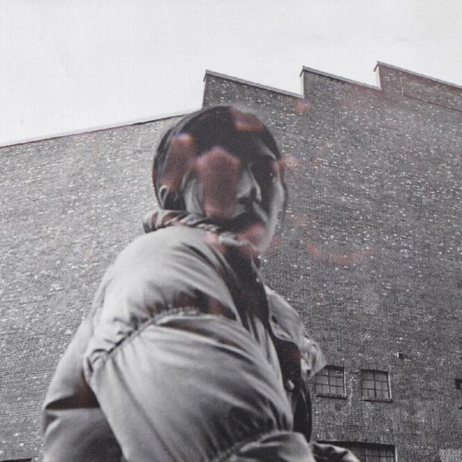the album cover for Aldous Harding - Warm Chris [LP]