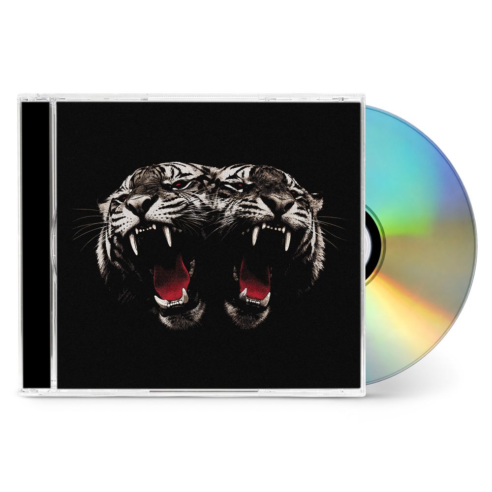 the album cover for Royal Blood - Dead Company