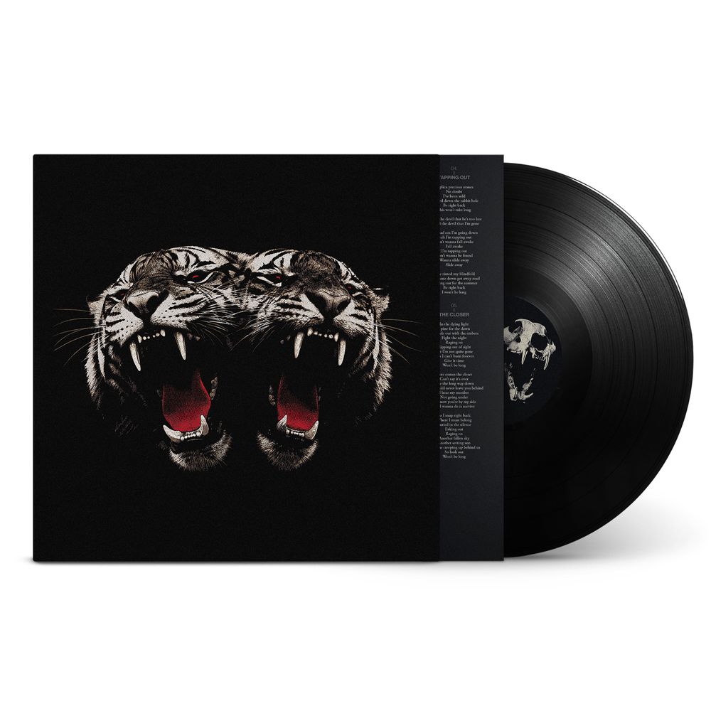the album cover for Royal Blood - Dead Company [Black]