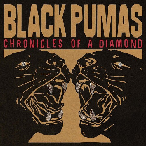 BLACK PUMAS - CHRONICLES OF A DIAMOND (CD)