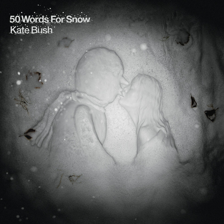 the album cover for Kate Bush - 50 Words For Snow: Remastered