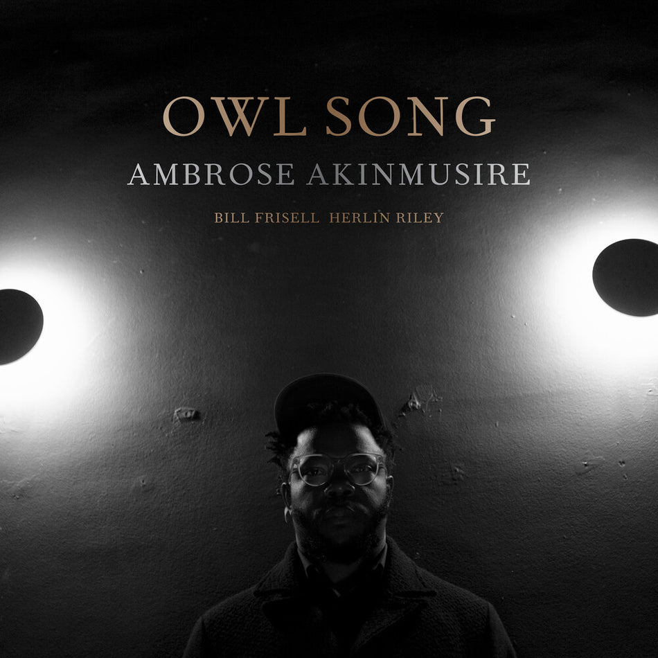 the album cover for Ambrose Akinmusire - Owl Song [LP]