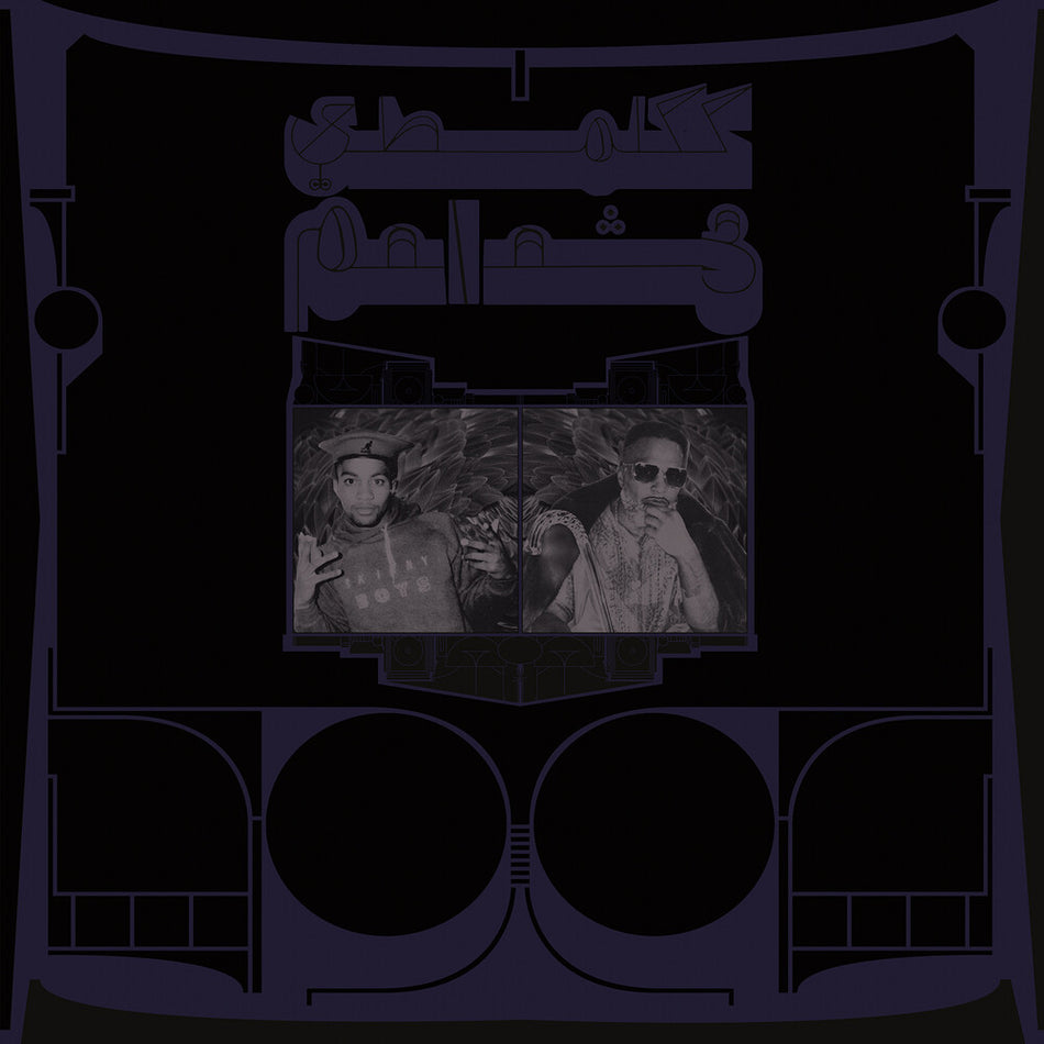 the album cover for Shabazz Palaces - Exotic Birds Of Prey [Translucent White LP]