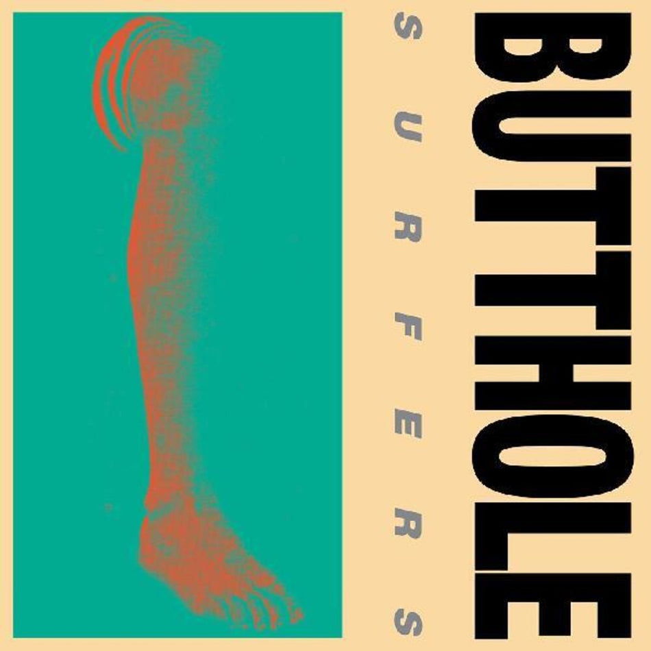 the album cover for Butthole Surfers - Rembrandt Pussyhorse