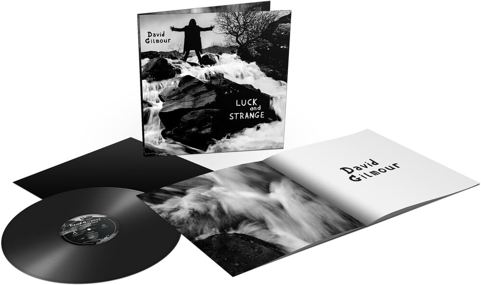 the album cover for David Gilmour - Luck and Strange [LP]