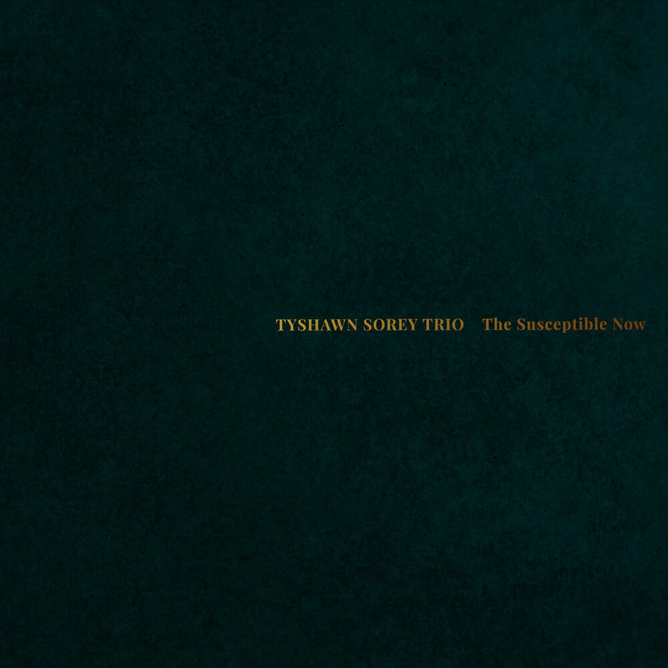 the album cover for Tyshawn Sorey Trio - Susceptible Now