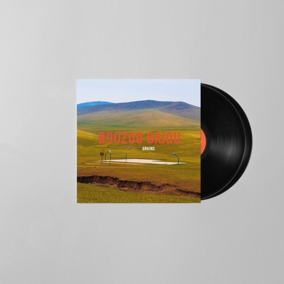the album cover for Boozoo Bajou - Grains (15th Anniversary) (Aniv)