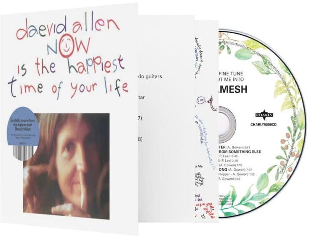 the album cover for Allen, Daevid - Now Is The Happiest Time Of Your Life