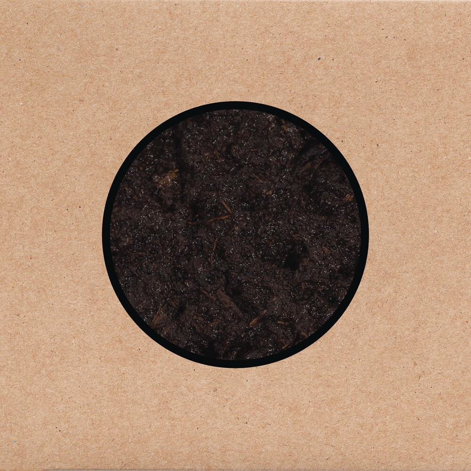 the album cover for Swans - Birthing