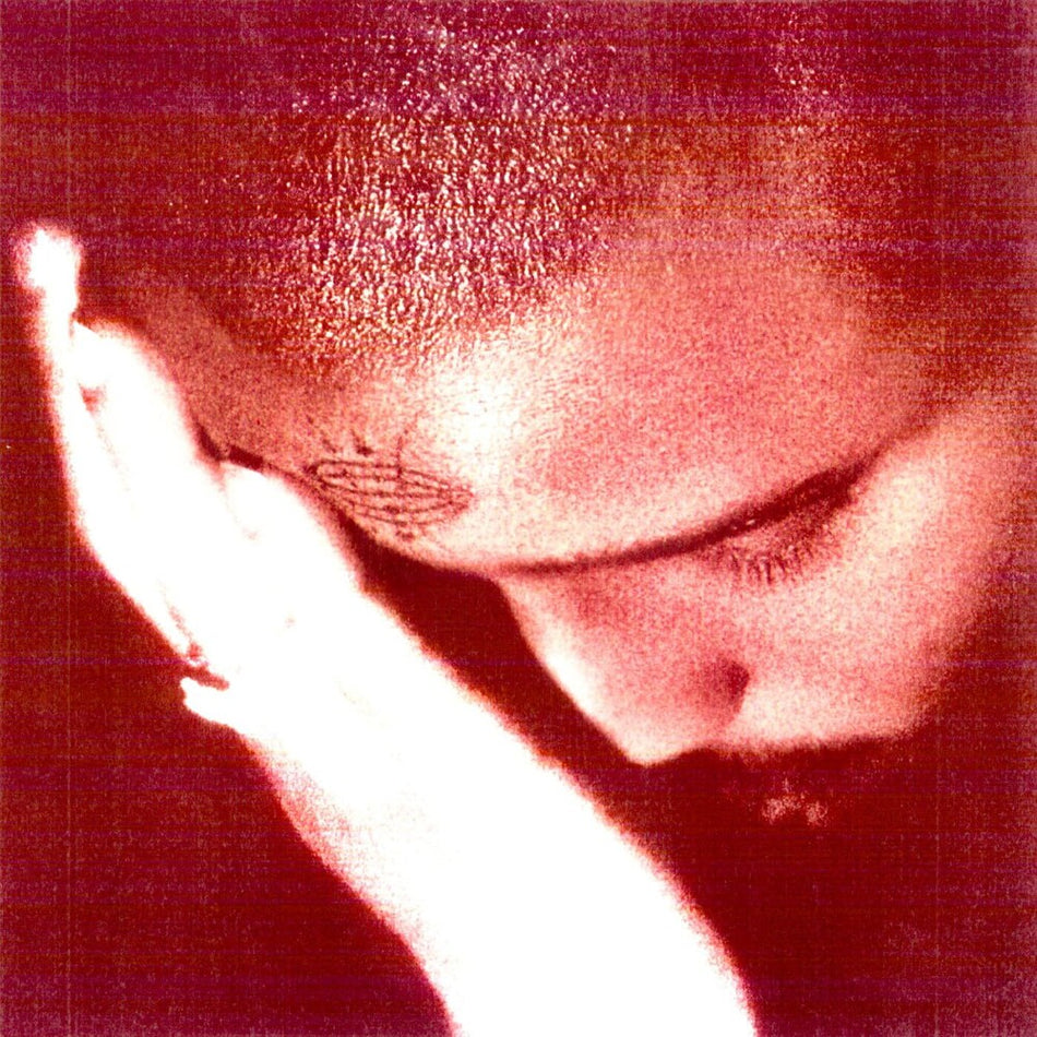 the album cover for Nourished by Time - The Passionate Ones