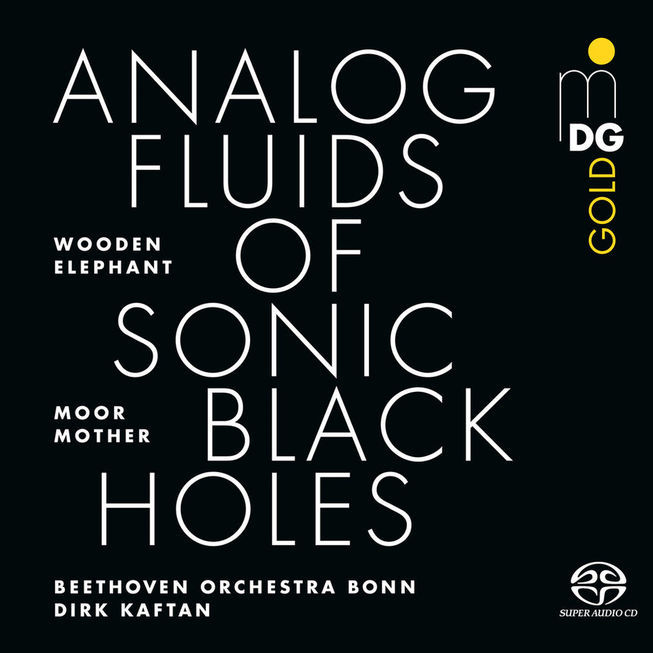 the album cover for Moor Mother - Analog Fluids Of Sonic Black Holes