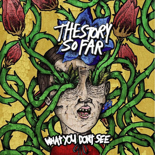 THE STORY SO FAR- WHAT YOU DON'T SEE (COLORED LP)