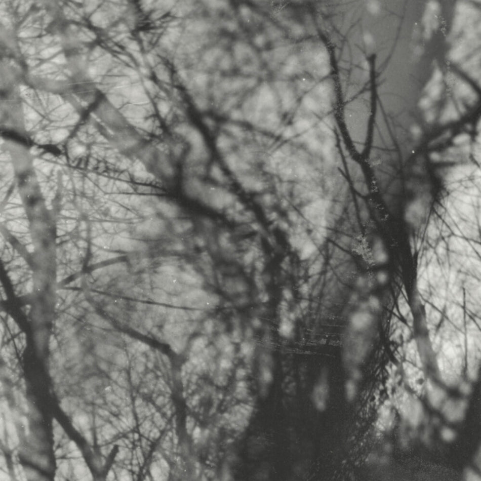 the album cover for Grouper - Way Their Crept [Reissue]