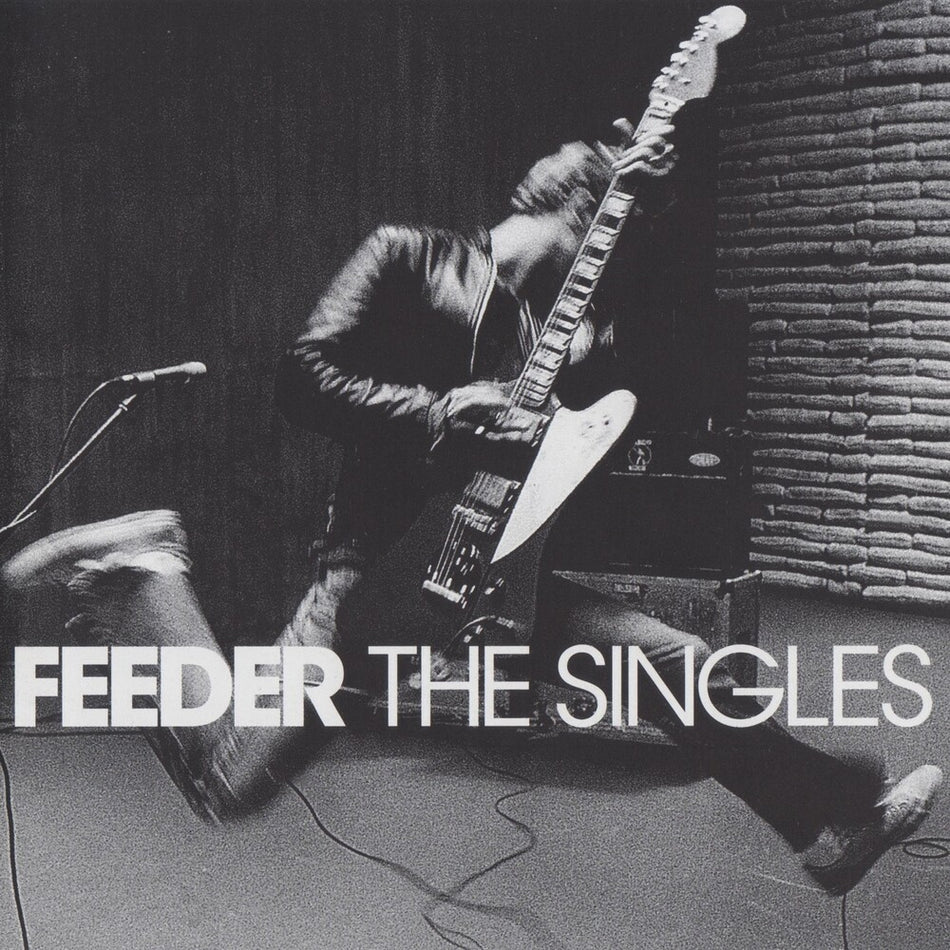 the album cover for Feeder - Singles [Clear Vinyl] (Pnk)