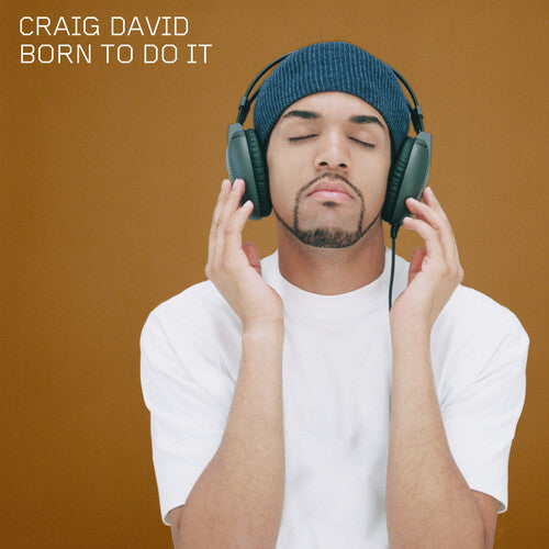 CRAIG DAVID - BORN TO DO IT (LP)
