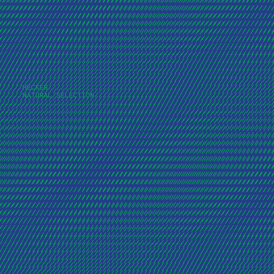 the album cover for Florian Hecker - Natural Selection