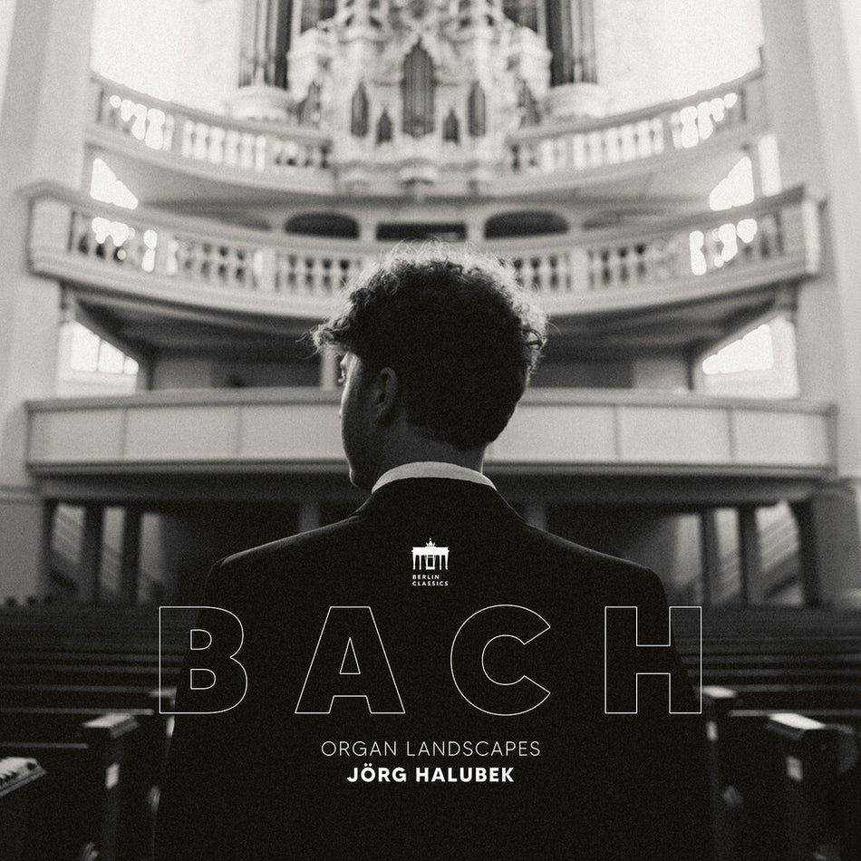 the album cover for Jorg Halubek - Organ Landscapes