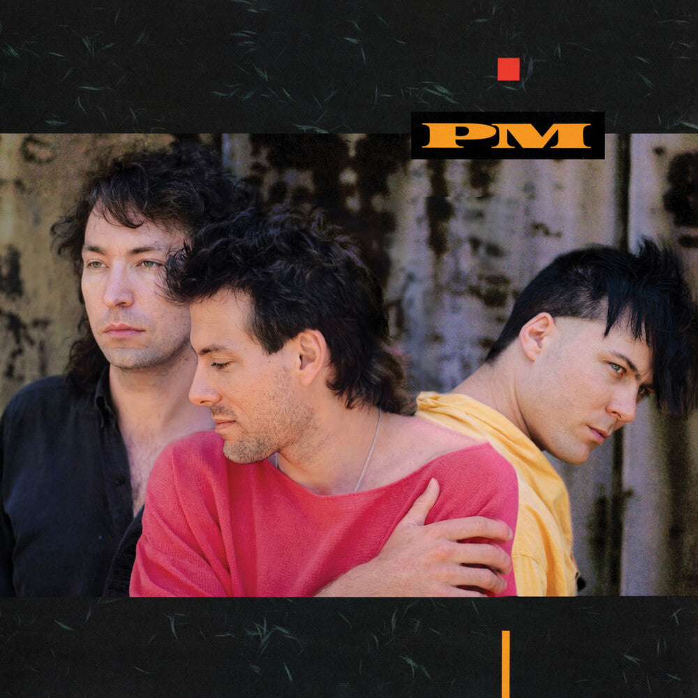 the album cover for Pm - Pm (Hol)