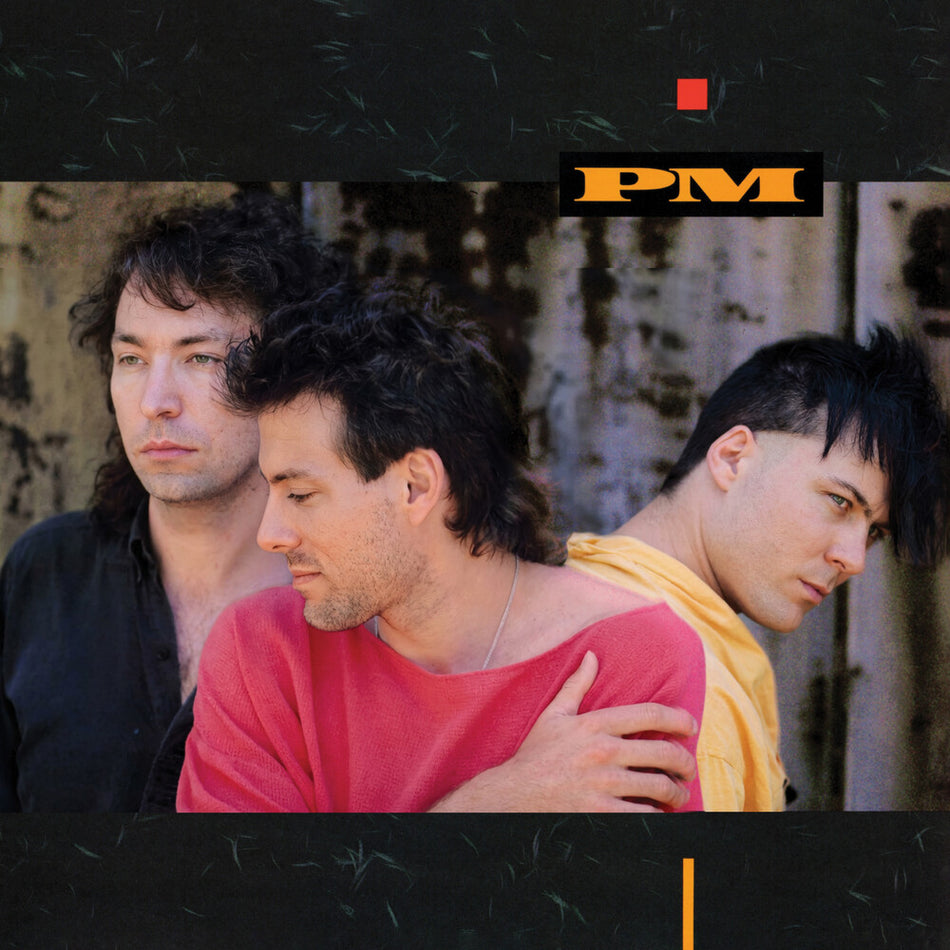 the album cover for Pm - Pm (Hol)