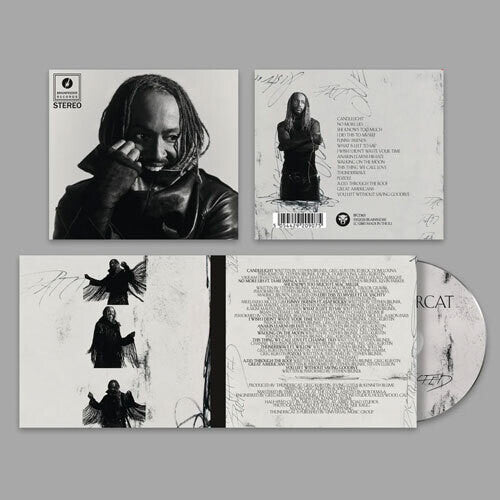 Thundercat - Distracted (CD)