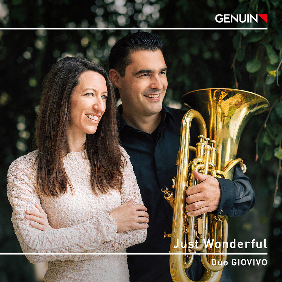 the album cover for Giovivo - Just Wonderful