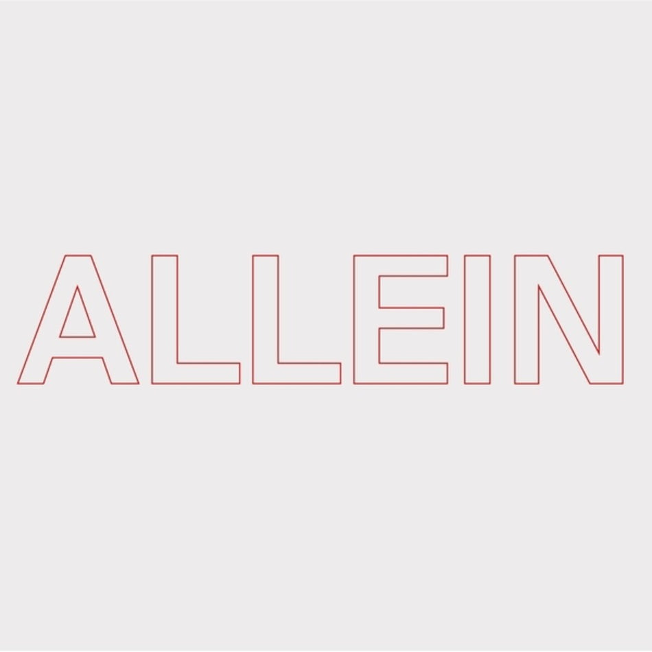 the album cover for Quarks - Allein