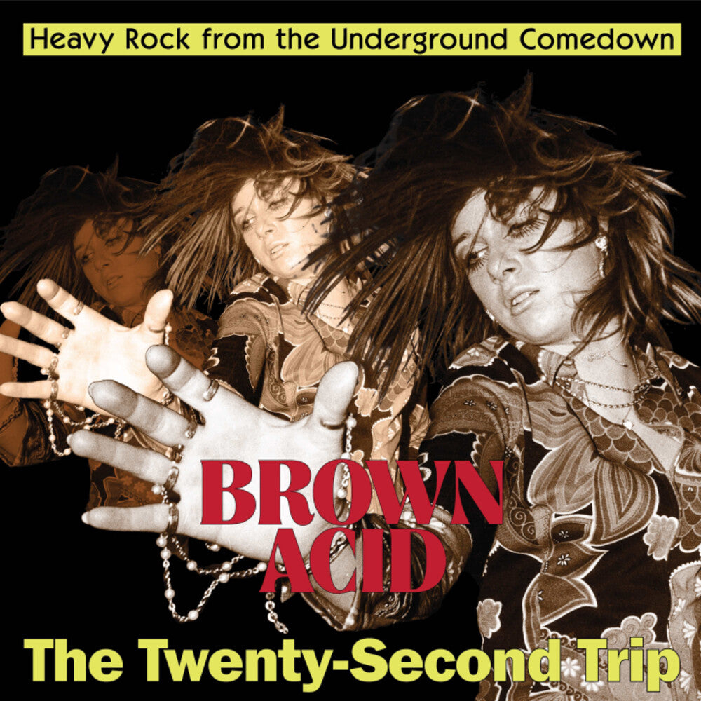 the album cover for Brown Acid - Twenty-Second Trip / Various - Brown Acid - Twenty-Second Trip / Various
