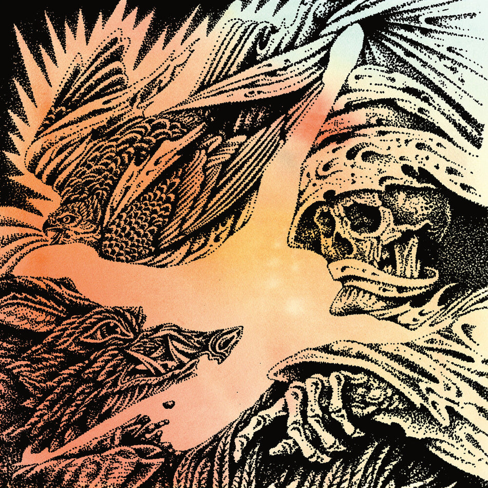 the album cover for Heavy Eyes - Focus