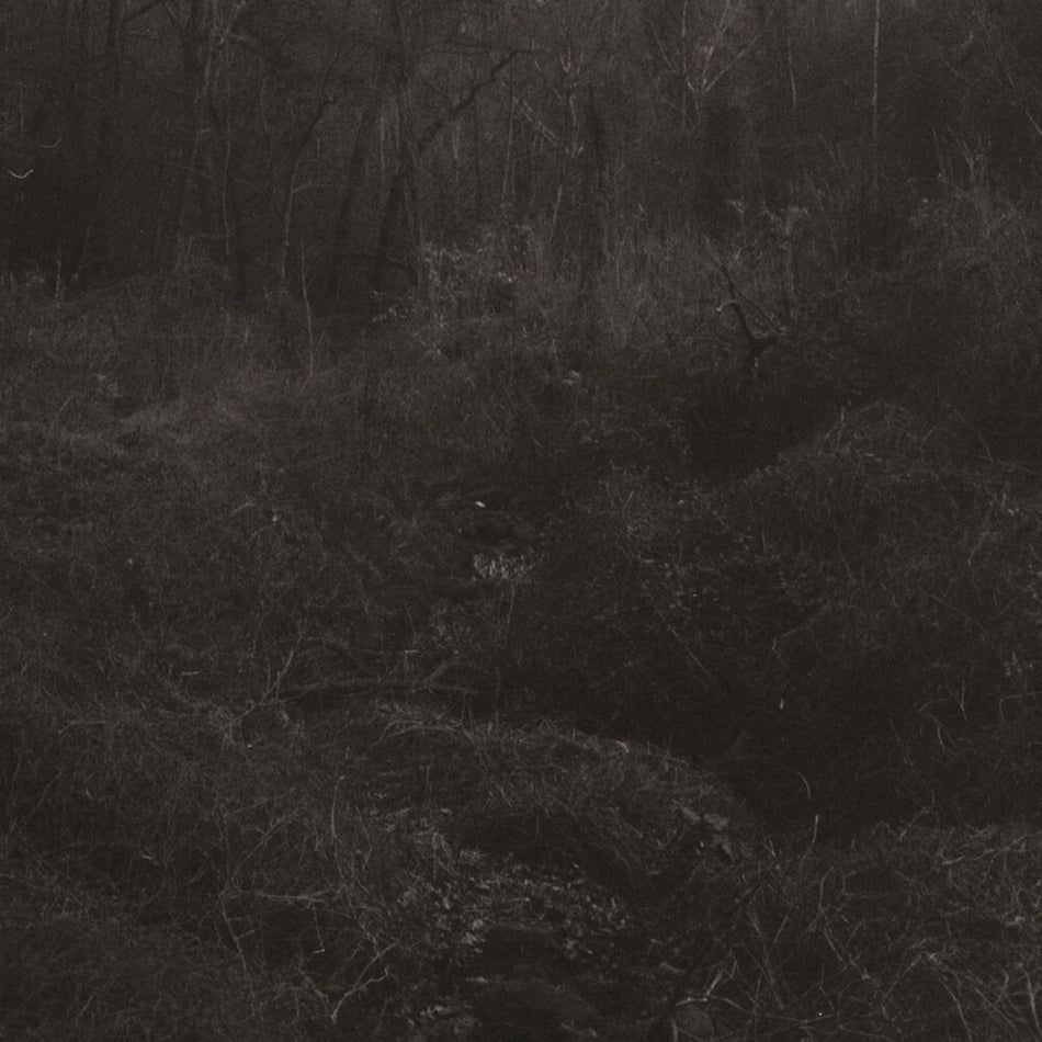the album cover for Lesley Mok - Transient [Download Included]