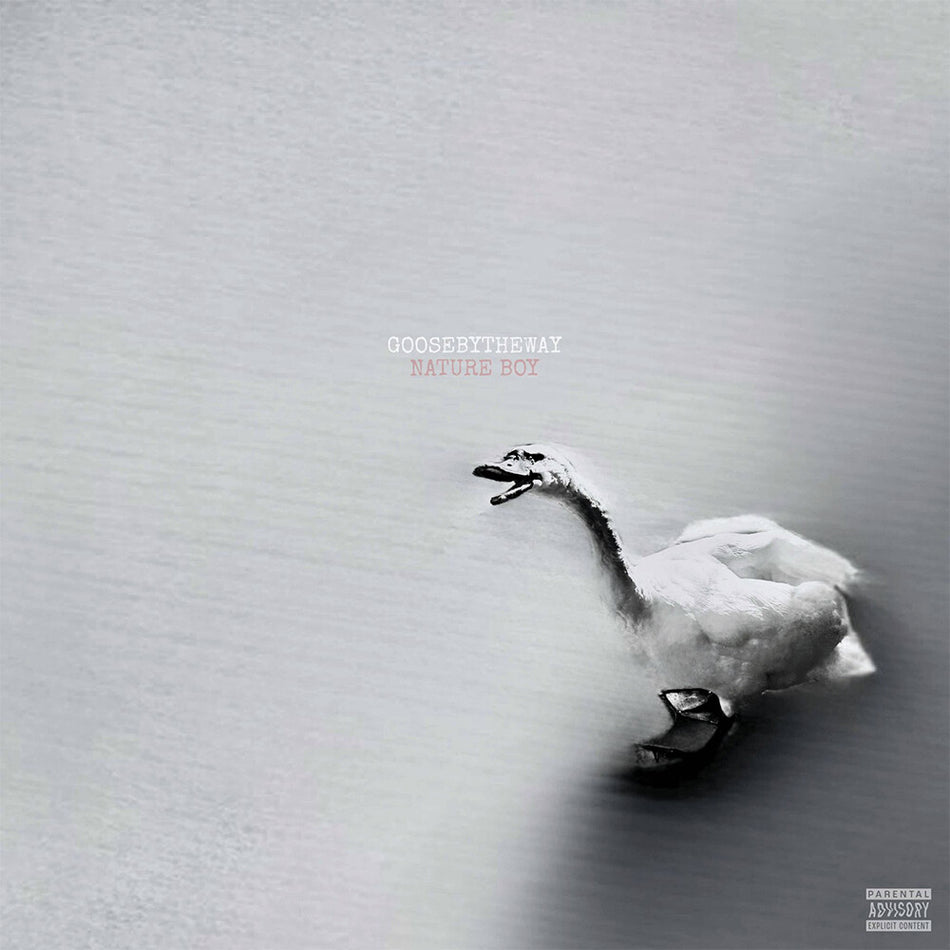 the album cover for Goosebytheway - Nature Boy [White Vinyl]