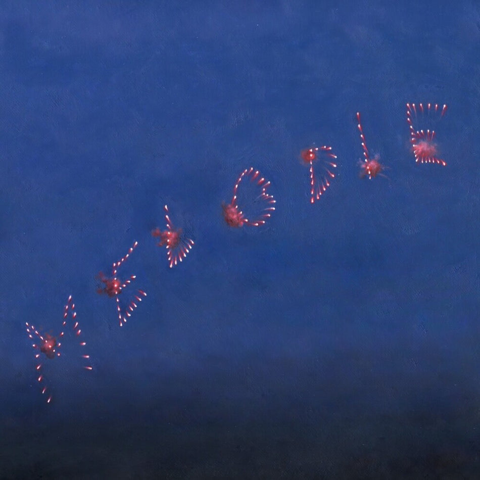 the album cover for Slow Pulp - Melodie [Black]
