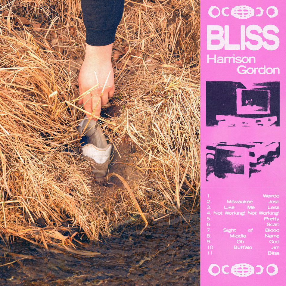 the album cover for Harrison Gordon - Bliss [Indie Exclusive] [Colored Vinyl] [Indie Exclusive]